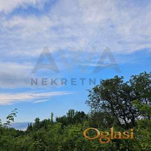 Mirovo - Boljevac   Poljoprivredno zemljiste 3086m2